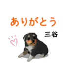 三谷さんが使う名前スタンプ・子犬イラスト（個別スタンプ：3）