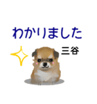 三谷さんが使う名前スタンプ・子犬イラスト（個別スタンプ：5）