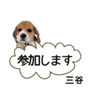 三谷さんが使う名前スタンプ・子犬イラスト（個別スタンプ：7）