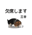 三谷さんが使う名前スタンプ・子犬イラスト（個別スタンプ：8）
