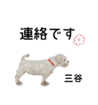 三谷さんが使う名前スタンプ・子犬イラスト（個別スタンプ：25）