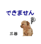 三谷さんが使う名前スタンプ・子犬イラスト（個別スタンプ：29）