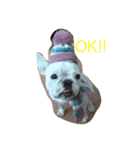 A beautiful dog（個別スタンプ：4）