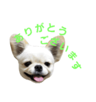ペキチワおでんくん（個別スタンプ：2）