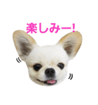 ペキチワおでんくん（個別スタンプ：21）