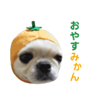 ペキチワおでんくん（個別スタンプ：23）