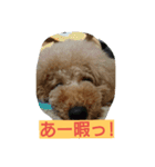chamu love（個別スタンプ：5）