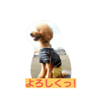 chamu love（個別スタンプ：6）