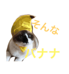 シャム猫のムーは自宅警備員！追加版（個別スタンプ：27）