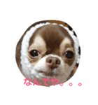 ごまちゃんのこころの声（個別スタンプ：1）