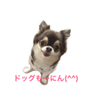 ごまちゃんのこころの声（個別スタンプ：3）