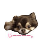 ごまちゃんのこころの声（個別スタンプ：4）