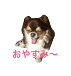 ごまちゃんのこころの声（個別スタンプ：7）