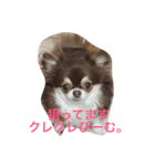 ごまちゃんのこころの声（個別スタンプ：8）