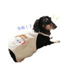 ももこたスタンプ（個別スタンプ：13）