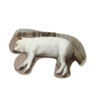 cute dog haha（個別スタンプ：4）