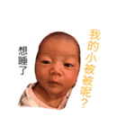 Neobow ＆ LittleQuilt's Life（個別スタンプ：24）