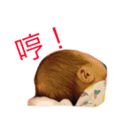 Neobow ＆ LittleQuilt's Life（個別スタンプ：34）