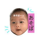 shutoshutoshuto（個別スタンプ：15）