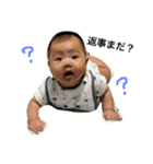 shutoshutoshuto（個別スタンプ：17）