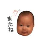 shutoshutoshuto（個別スタンプ：27）