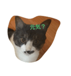 sorakunn（個別スタンプ：1）