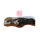 sorakunn（個別スタンプ：2）