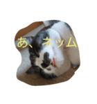 sorakunn（個別スタンプ：5）
