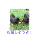 ミニチュアダックス 寧寧と愉快な仲間達1（個別スタンプ：23）