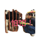 fun hahaha（個別スタンプ：4）