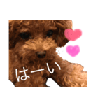 こちゃひじ2（個別スタンプ：1）