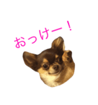 たろ うぃず 2（個別スタンプ：7）