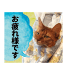 ハル店長（個別スタンプ：6）