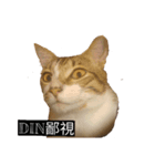 Din Din Fever（個別スタンプ：1）