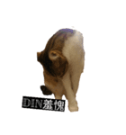 Din Din Fever（個別スタンプ：2）