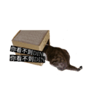 Din Din Fever（個別スタンプ：7）