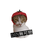 Din Din Fever（個別スタンプ：8）