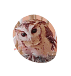 Greeting of an owl.（個別スタンプ：1）