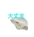 わかなず参（個別スタンプ：2）