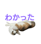 わかなず参（個別スタンプ：3）