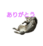 わかなず参（個別スタンプ：4）