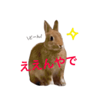 ゆっきーの毎日スタンプ（個別スタンプ：4）