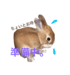 ゆっきーの毎日スタンプ（個別スタンプ：11）