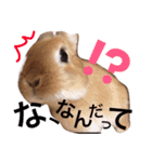 ゆっきーの毎日スタンプ（個別スタンプ：15）