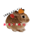 ゆっきーの毎日スタンプ（個別スタンプ：24）