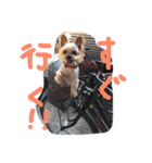 Yanagawa Dogs（個別スタンプ：7）