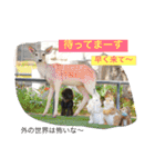 2.賑やかイロイロワンコ（個別スタンプ：8）
