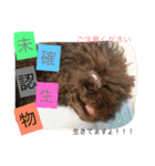 2.賑やかイロイロワンコ（個別スタンプ：19）