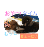 2.賑やかイロイロワンコ（個別スタンプ：21）