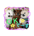 2.賑やかイロイロワンコ（個別スタンプ：23）